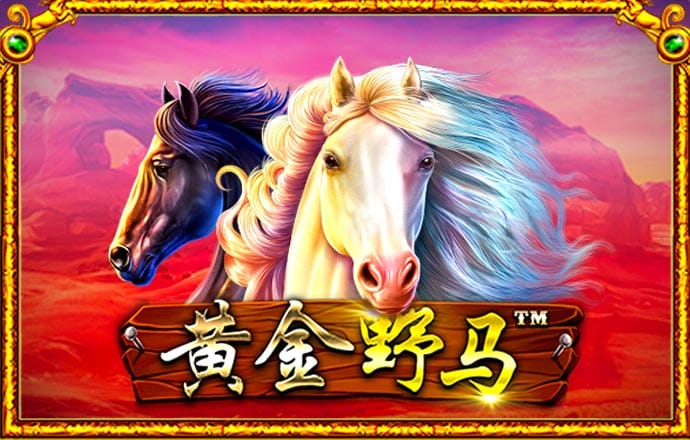 华体汇app官网登录